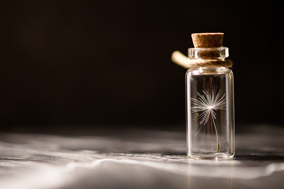 Dandelion seed in a bottle of glass symbolizes the message to Preserve biodiversity.