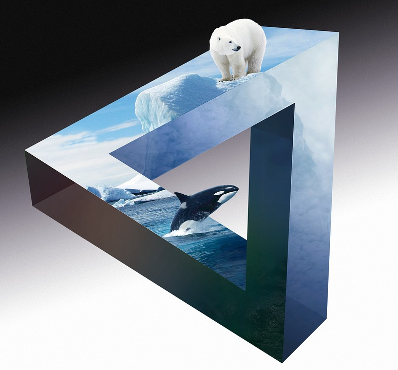 Animated picture shows a polar bear and a whale